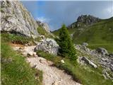 Passo di Costalunga / Karerpass - Rifugio Roda di Vael